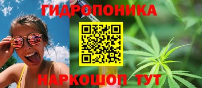 spice Балахна