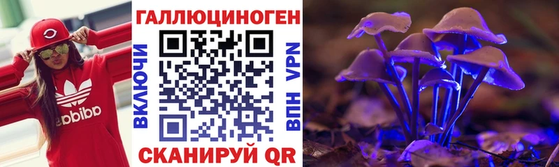 где купить наркотик  Жуковский  Галлюциногенные грибы Psilocybe 