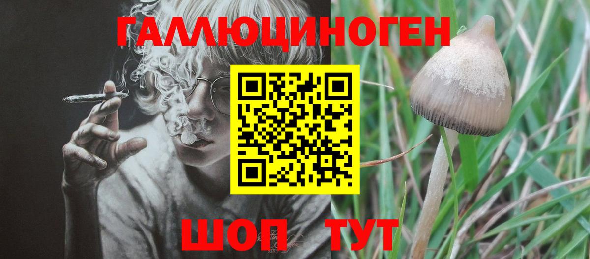 Жуковский  Псилоцибиновые грибы мицелий  Псилоцибиновые грибы мухоморы  Вход с VPN 